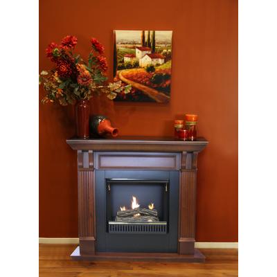 Paramount Whistler 23 In Gel Fireplace Cherry Home Depot