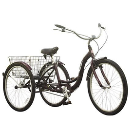 schwinn adult trike